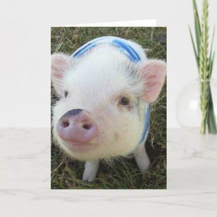 Carte Porc mignon de ventre de pot
