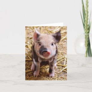 Carte Porcelet