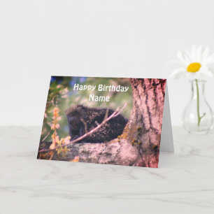 Carte Porcupine Faune Anniversaire Personnalisé 