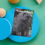 Carte Porcupine Photo Amusante Anniversaire<br><div class="desc">Un autre anniversaire ? Cette drôle de carte d'anniversaire à thème animal présente l'image d'une Porcupine noire avec quelques quilles grises. Sélectionnez une carte de style mat ou brillant.</div>