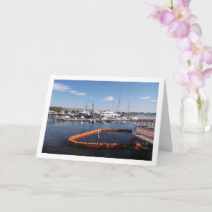 Carte Port de bateaux à Paphos, Chypre