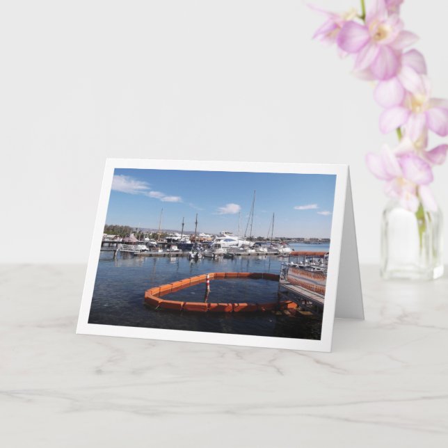 Carte Port de plaisance à Paphos, Chypre (Orchidée)