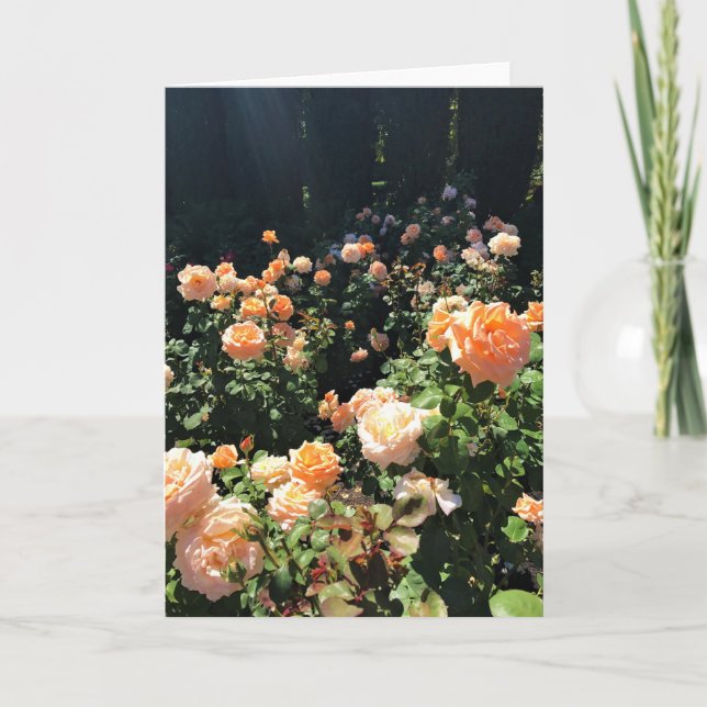 Carte Portland Rose Garden (Devant)