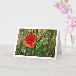 Carte Portrait au Coquelicot Rouge