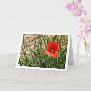 Carte Portrait au Coquelicot Rouge