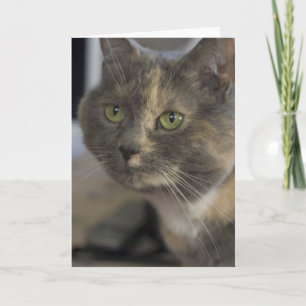 Carte Portrait Cat