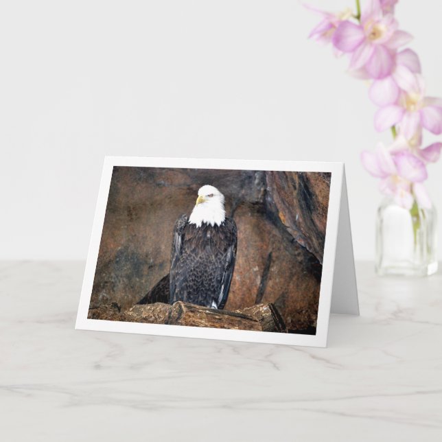 Carte Portrait d'aigle américain à tête blanche (Orchidée)