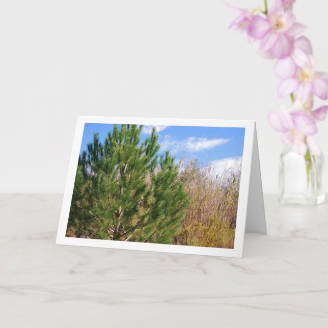 Carte Portrait d'arbre de pin, ciel bleu (Orchidée)