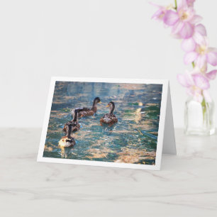 Carte Portrait de canard colvert