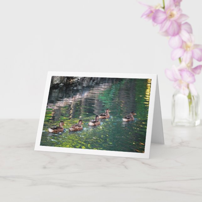 Carte Portrait de canard colvert reflet dans l'eau (Orchidée)