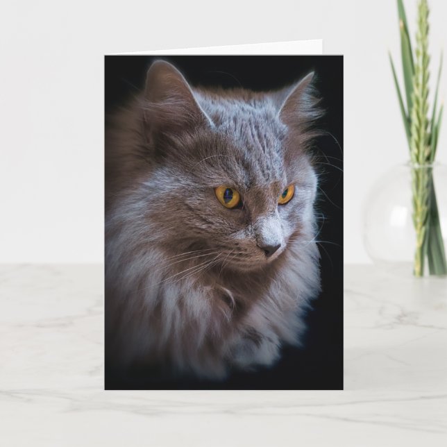 Carte Portrait de chat Nebelung à poil long Blue Russe  (Devant)