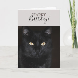 Carte Portrait de chat noir