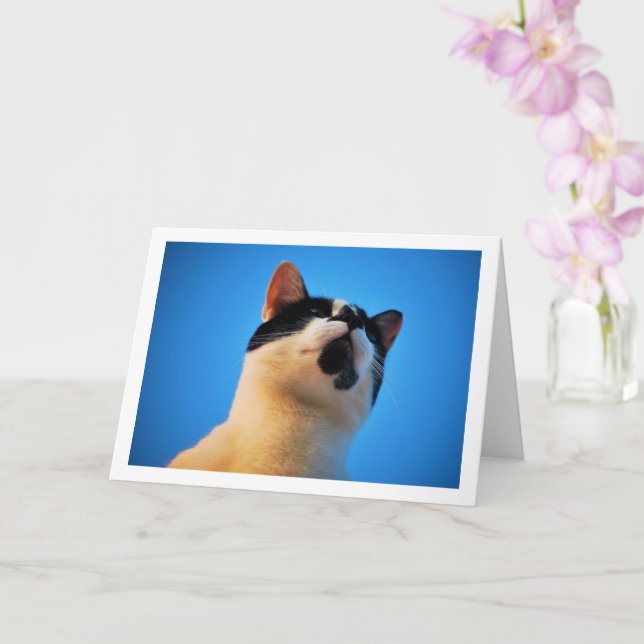 Carte Portrait de chat noir et blanc (Orchidée)