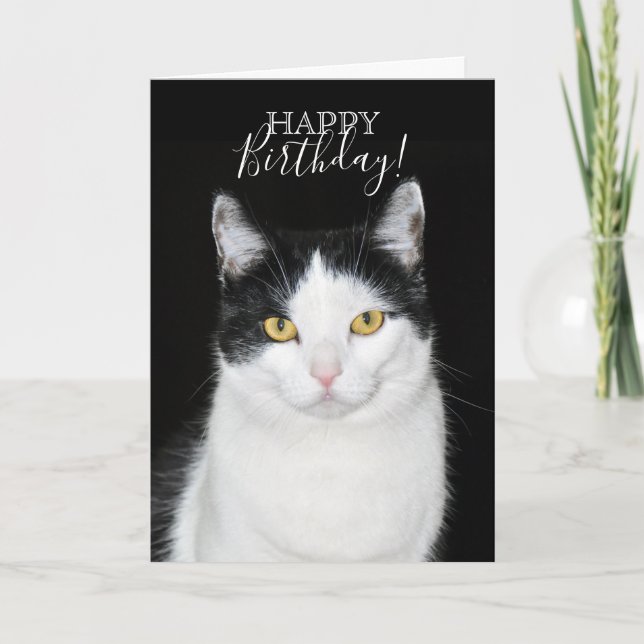 Carte Portrait de chat noir et blanc (Devant)