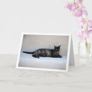 Carte Portrait de chat Tortoiseshell