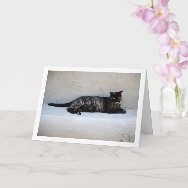 Carte Portrait de chat Tortoiseshell (Orchidée)