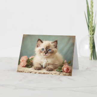 Carte Portrait de chaton ragdoll vintage mignon fleurs d