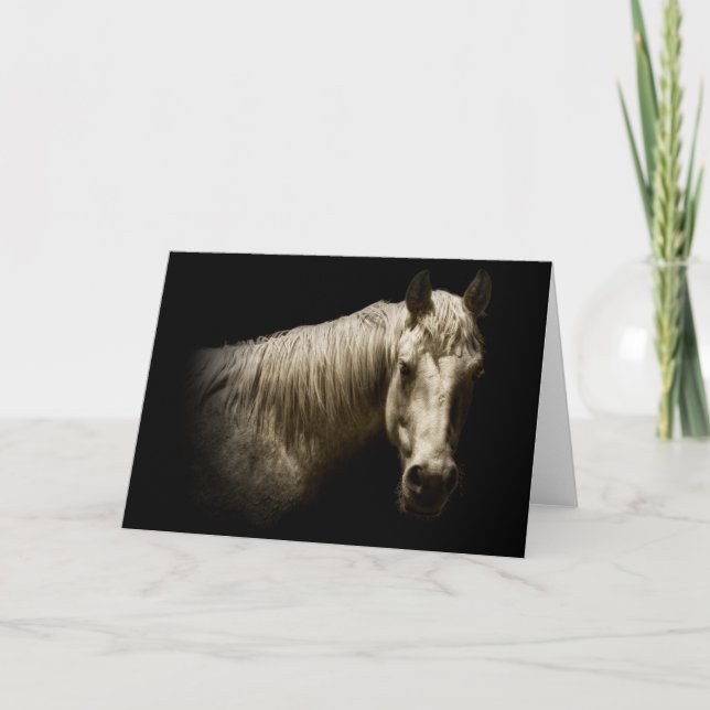 Carte Portrait de cheval VI (Devant)