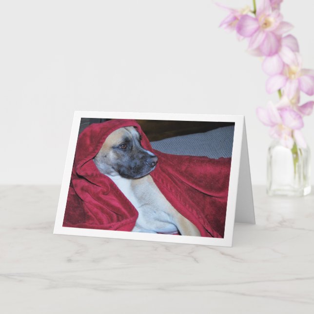 Carte Portrait de chien dans une couverture rouge (Orchidée)