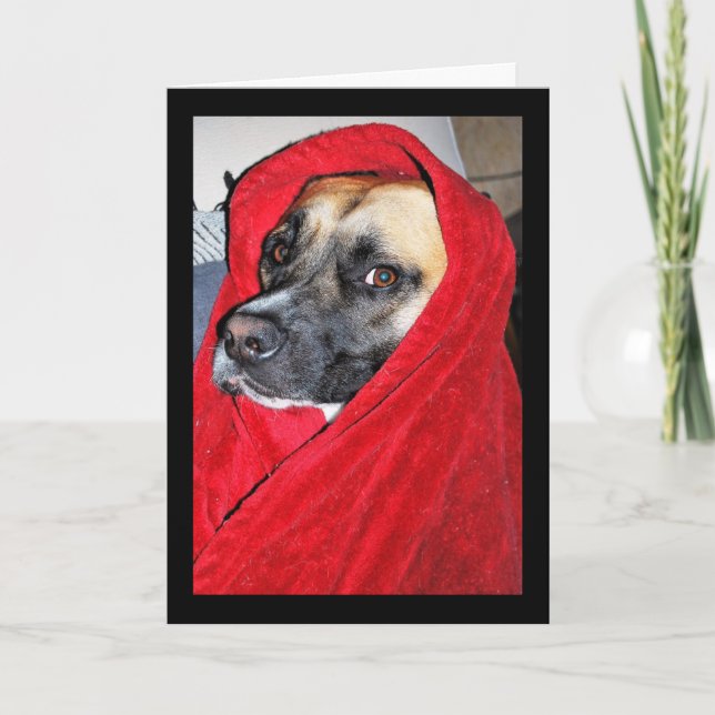 Carte Portrait de chien dans une couverture rouge (Devant)