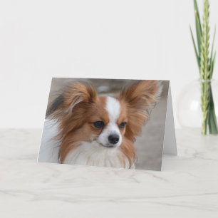 Carte Portrait de chien de Papillon