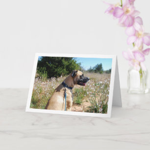 Carte Portrait de chien et de fleurs sauvages