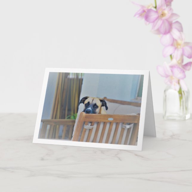 Carte Portrait de chien nuageux (Orchidée)