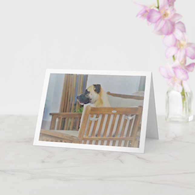 Carte Portrait de chien nuageux (Orchidée)