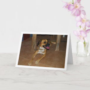 Carte Portrait de chien sur le sol