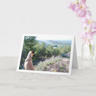 Carte Portrait de chien sur une montagne