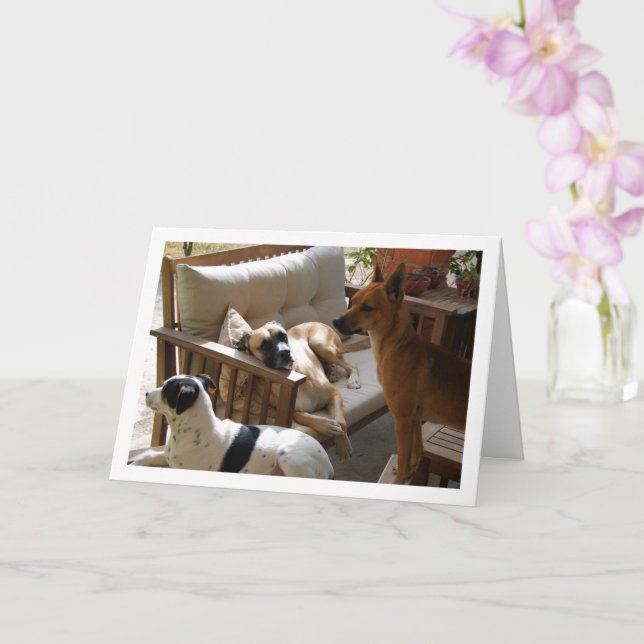 Carte Portrait de Chilling par trois chiens (Orchidée)