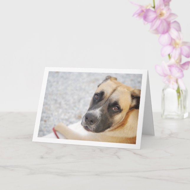 Carte Portrait de chiot adorable (Orchidée)