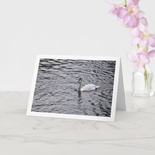 Carte Portrait de cygne sur un lac (Orchidée)