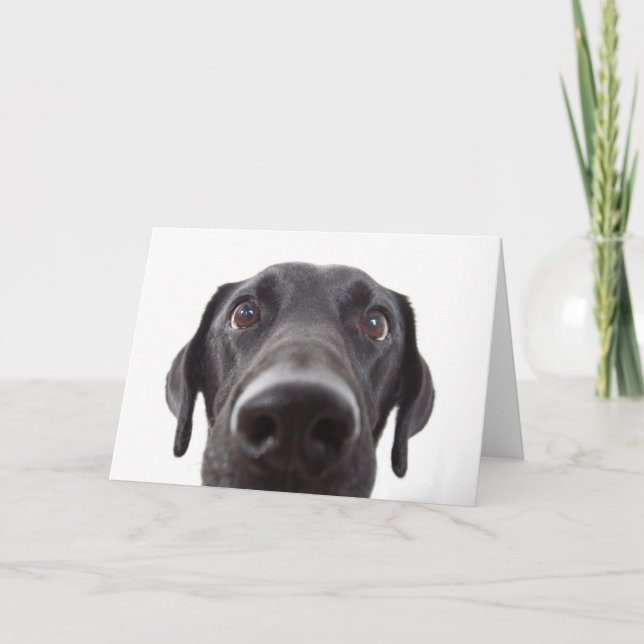 Carte Portrait de fermeture Black Labrador (Devant)