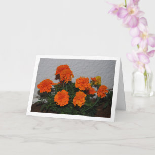 Carte Portrait de fleur de souci orange vif