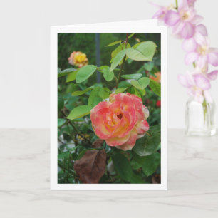 Carte Portrait de fleurs de rose rose et jaune