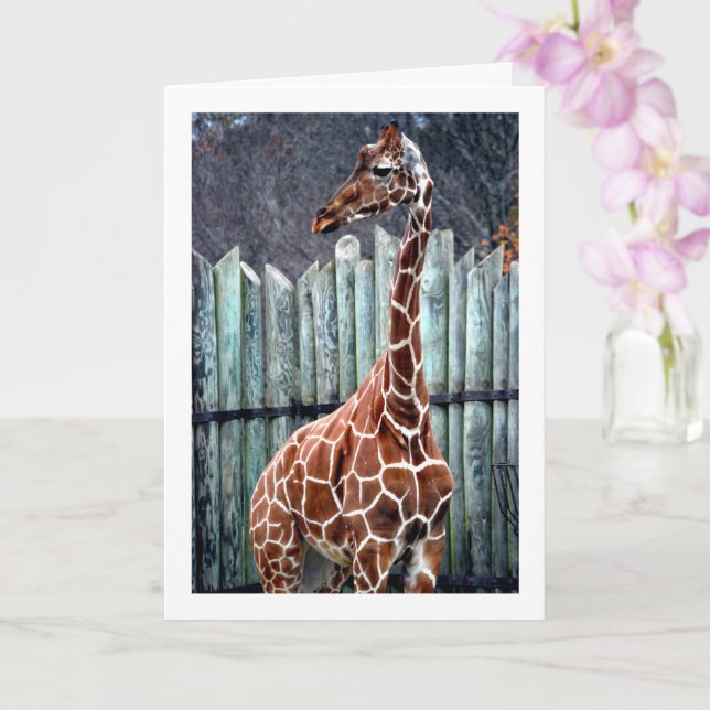 Carte Portrait de Giraffe (Orchidée)