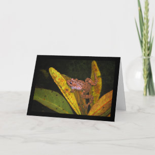 Carte Portrait de Grenouille aquatique ibérique