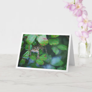 Carte Portrait de grenouille dans un étang feuillu