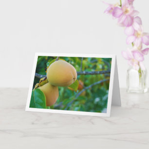 Carte Portrait de kakis sur l'arbre
