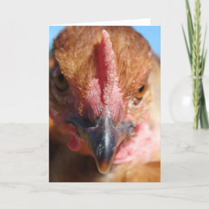 Carte Portrait de la photographie de poulet