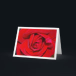 Carte Portrait de la Rose rouge<br><div class="desc">Carte de voeux Portrait de la Rose rouge. Vous pouvez facilement customiser ce produit gratuitement si vous souhaitez ajouter du libellé ou changer la couleur du arrière - plan.</div>