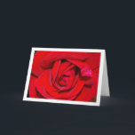 Carte Portrait de la Rose rouge<br><div class="desc">Carte de voeux Portrait de la Rose rouge. Vous pouvez facilement customiser ce produit gratuitement si vous souhaitez ajouter du libellé ou changer la couleur du arrière - plan.</div>