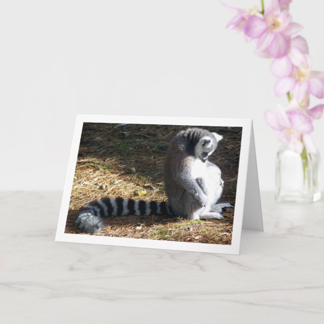 Carte Portrait de lémurien à queue ronde (Orchidée)