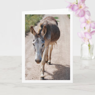 Carte Portrait de Mulet Espagnol