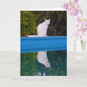 Carte Portrait de réflexion de chat blanc