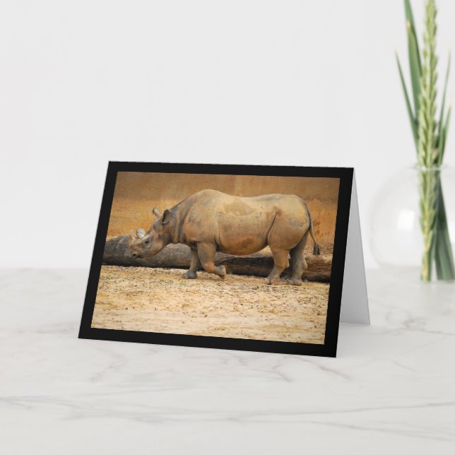 Carte Portrait de Rhinocéros (Devant)