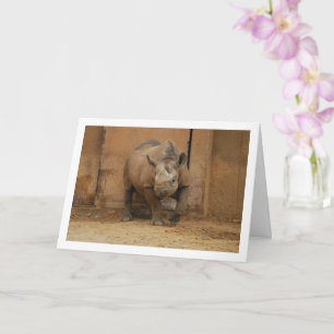 Carte Portrait de Rhinocéros