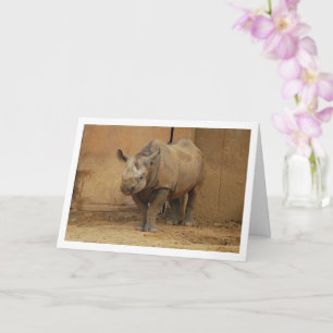 Carte Portrait de Rhinocéros