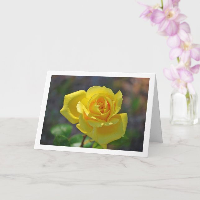 Carte Portrait de rose florale jaune (Orchidée)